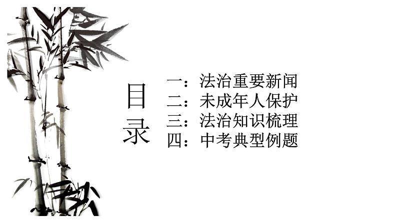 2022年中考道德与法治专题复习课件：全面依法治国02