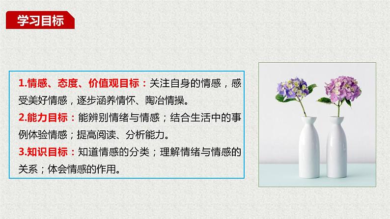 2021-2022学年道德与法治七年级下册 5.1我们的情感世界_1课件PPT第3页