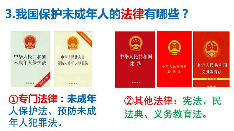 2021-2022学年道德与法治七年级下册 10.1 法律为我们护航 课件07