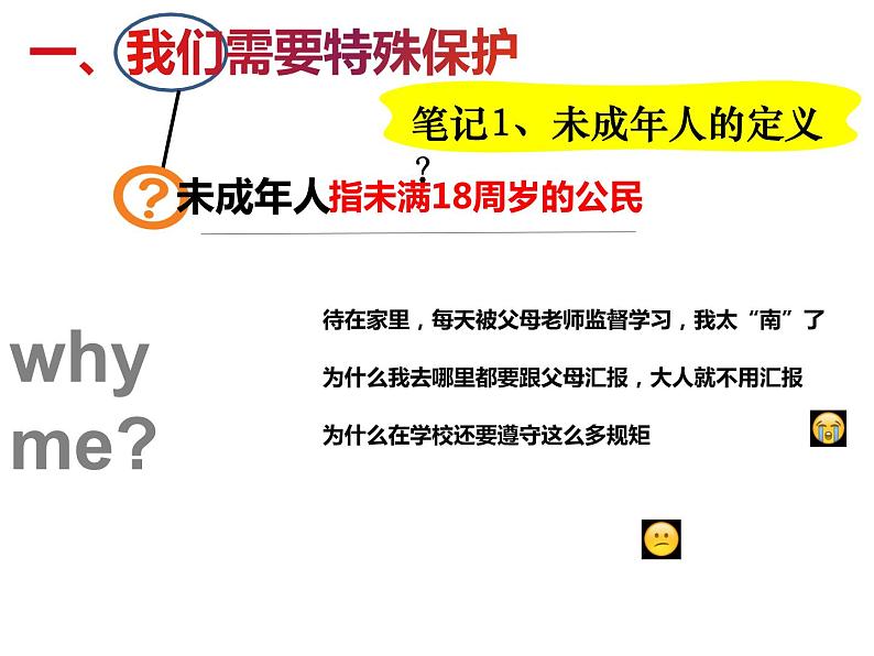 第十课 10.1 法律为我们护航课件PPT第4页