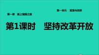 初中政治 (道德与法治)人教部编版九年级上册第一单元 富强与创新第一课 踏上强国之路坚持改革开放习题课件ppt