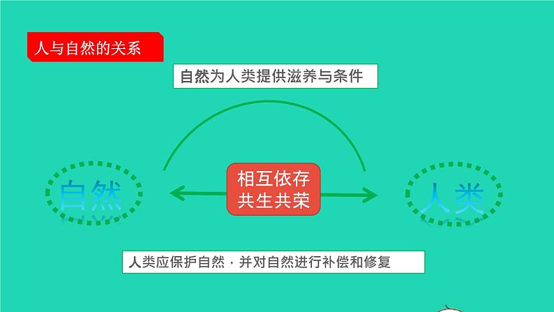 九上 6.2 共筑生命家园课件第6页