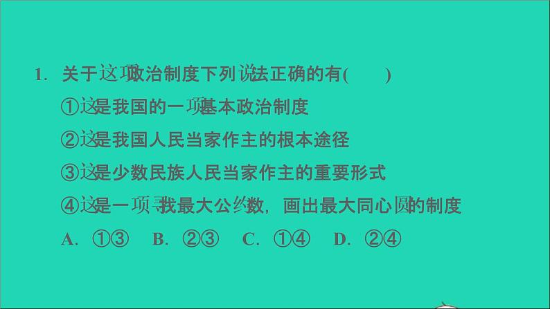 新人教版九年级道德与法治上册期末复习专题二追求民主价值建设法治中国课件04