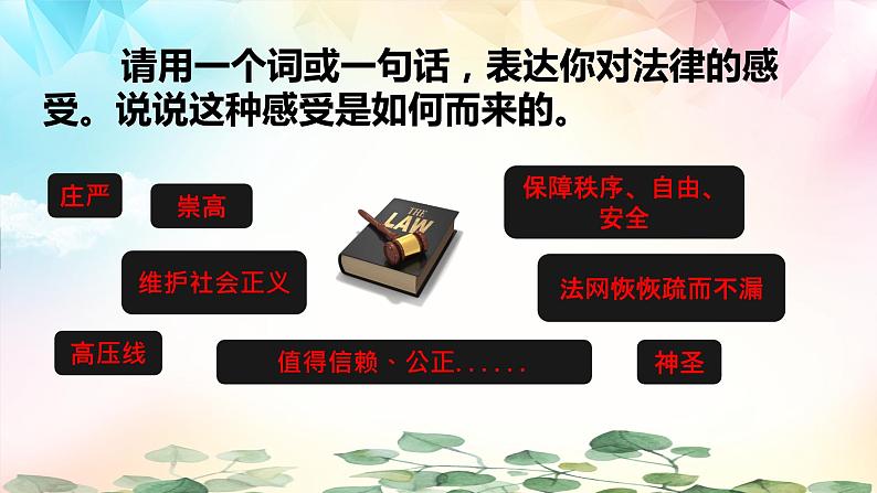 9.2法律保障生活课件2021-2022学年部编版道德与法治七年级下册第3页