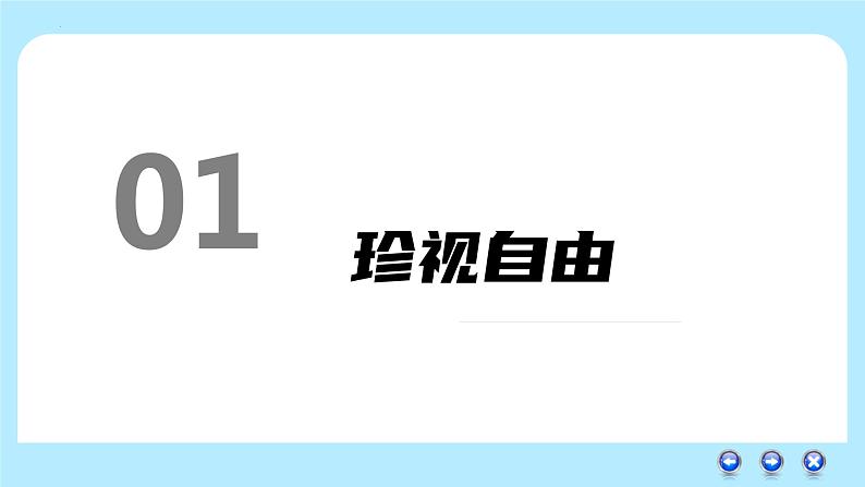 2021-2022学年部编版道德与法治八年级下册7.2自由平等的追求课件第4页