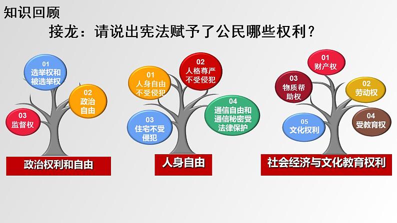 2021-2022学年部编版道德与法治八年级下册7.2自由平等的追求课件1第7页