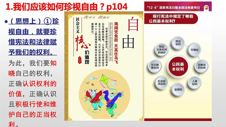 7.2自由平等的追求课件2021-2022学年部编版道德与法治八年级下册 (1)第7页