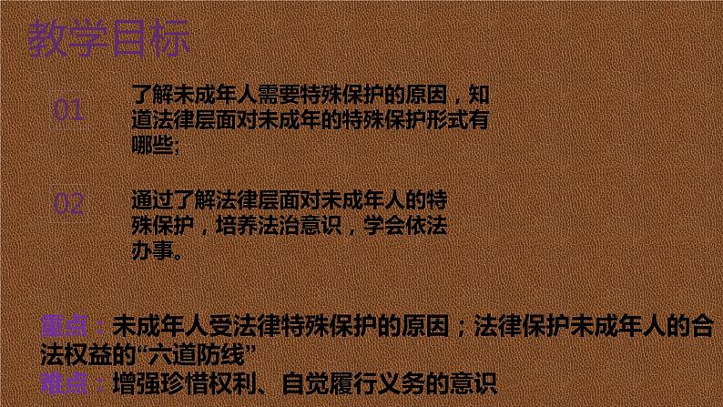 10.1法律为我们护航课件2021-2022学年部编版道德与法治七年级下册03