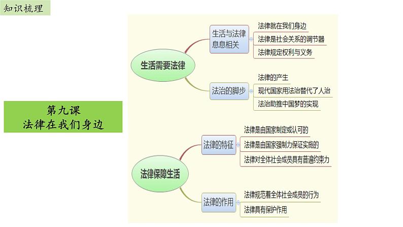 第四单元走进法治天地单元复习课件02