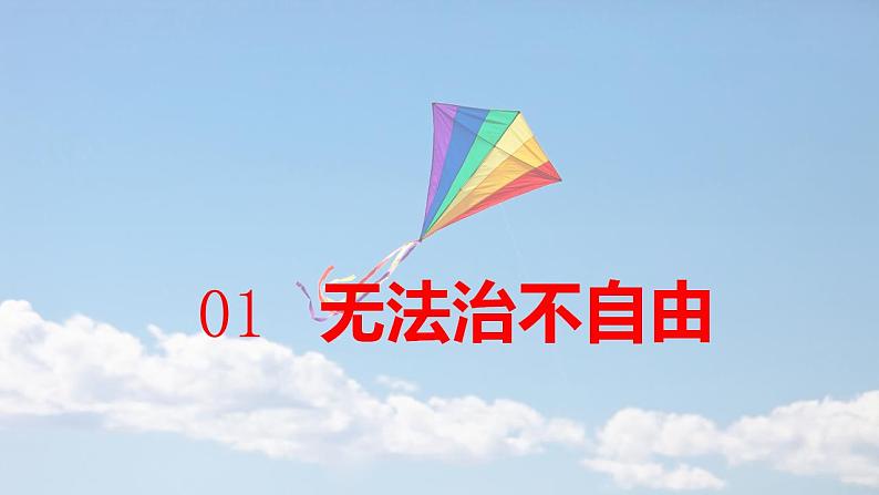 2021-2022学年部编版道德与法治八年级下册7.1自由平等的真谛课件第6页