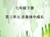 第三单在集体中成长复习课件-2021-2022学年部编版道德与法治七年级下册