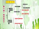 第三单在集体中成长复习课件-2021-2022学年部编版道德与法治七年级下册
