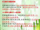 第三单在集体中成长复习课件-2021-2022学年部编版道德与法治七年级下册