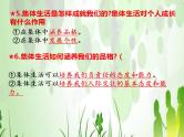 第三单在集体中成长复习课件-2021-2022学年部编版道德与法治七年级下册