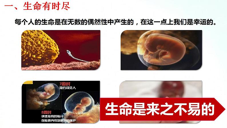 部编版七年级道德与法治上册 8.1生命可以永恒吗 课件+同步教案+视频素材07