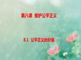 8.1公平正义的价值课件