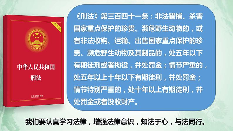 10.2我们与法律同行课件第6页