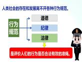 部编版八年级道德与法治上册 5.1法不可违 课件+同步教案+视频资料