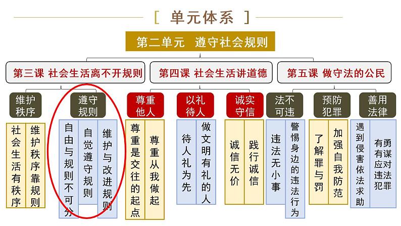 部编版八年级道德与法治上册课件 2.3.2 遵守规则02