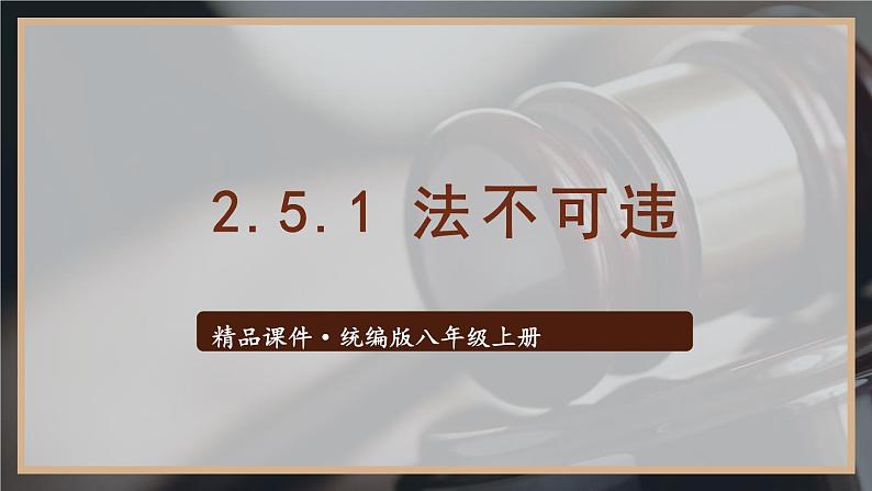部编版八年级道德与法治上册课件 2.5.1 法不可违01