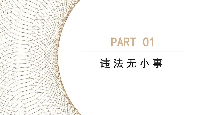 部编版八年级道德与法治上册课件 2.5.1 法不可违05