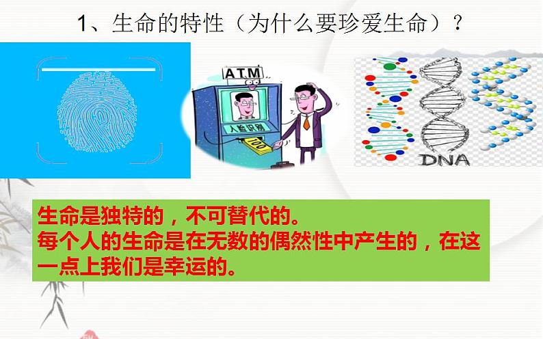 2021-2022学年七年级上册道法与法治8.1 生命可以永恒吗第8页