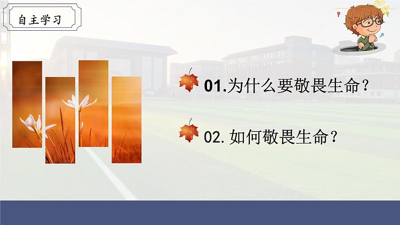 2021-2022学年人教部编版道德与法治七年级上册8.2敬畏生命课件课件第4页