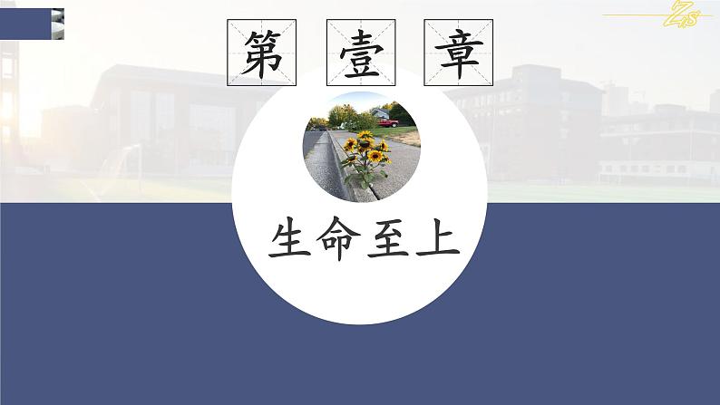 2021-2022学年人教部编版道德与法治七年级上册8.2敬畏生命课件课件第5页