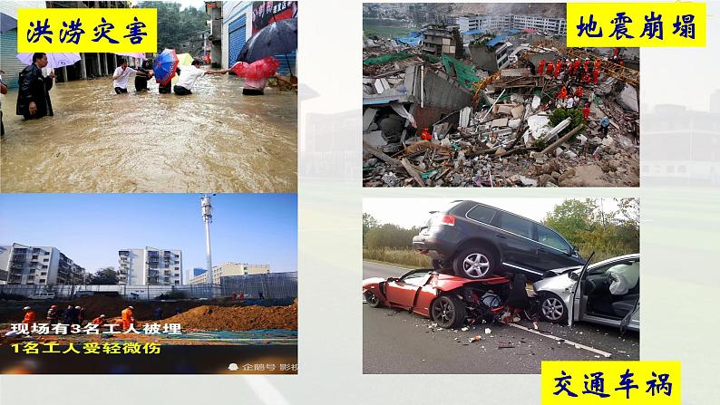 2021-2022学年人教部编版道德与法治七年级上册8.2敬畏生命课件课件第8页