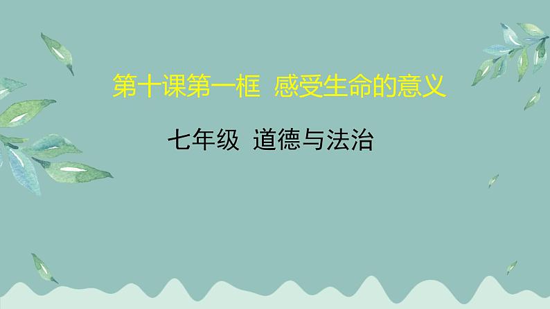 感受生命的意义 课件-人教部编版七年级道德与法治上册01