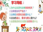 9.1生活需要法律（含视频）-2021-2022学年七年级道德与法治下册同步备课精制课件（部编版）