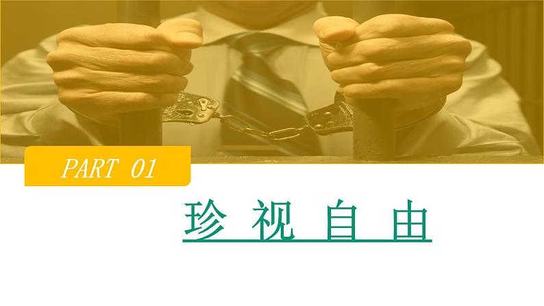 7.2自由平等的追求课件2021-2022学年部编版道德与法治八年级下册第3页