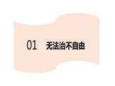 7.1自由平等的真谛课件-2021-2022学年部编版道德与法治八年级下册