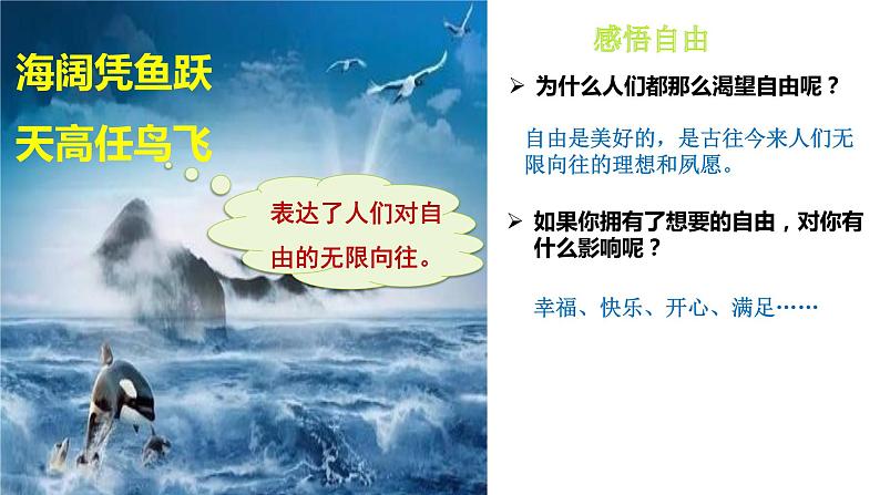 7.1 自由平等的真谛课件-2021-2022学年部编版道德与法治八年级下册第6页