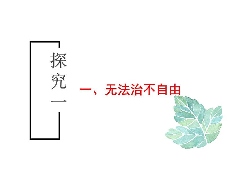 2021-2022学年部编人教版《道德与法治》八年级下册：7.1 自由平等的真谛 (共21张PPT)第3页