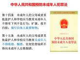 2021-2022学年部编人教版道德与法治八年级下册 7.2自由平等的追求课件 (共21张PPT)