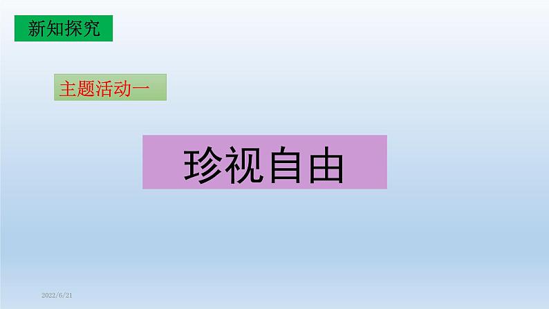 2021-2022学年部编人教版道德与法治八年级下册7.2 自由平等的追求(共20张PPT)第5页