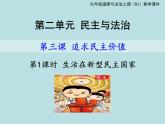 2021-2022学年部编版道德与法治九年级上册3.1：生活在新型民主国家 课件（23张ppt）