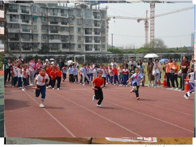 5.1让友谊之树常青课件第2页