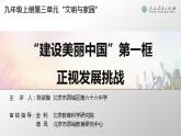 2021-2022学年部编版道德与法治九年级上册6.1正视发展挑战课件