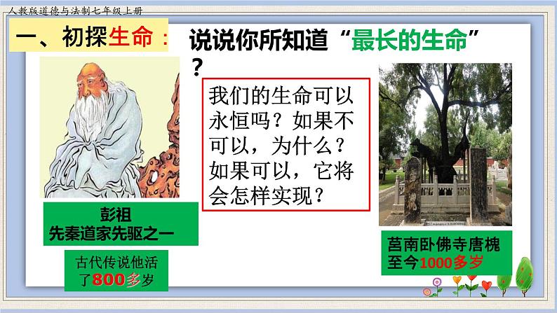 8.1 生命可以永恒吗   课件+教案+学案05