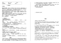 政治 (道德与法治)九年级下册走向未来学案设计