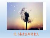 部编道德与法治七年级上册10.1《感受生命的意义》课件