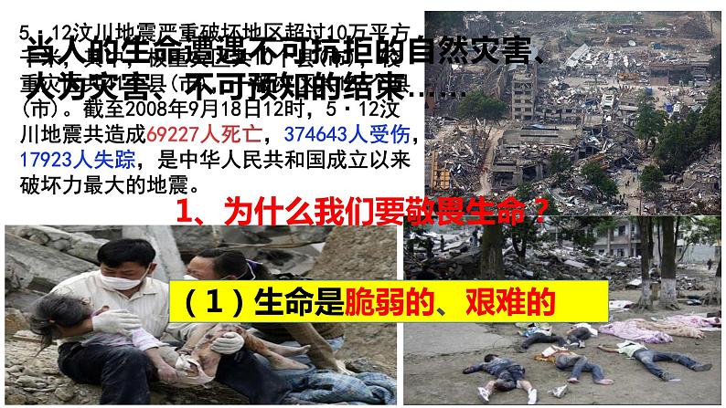 部编道德与法治七年级上册8.2敬畏生命PPT第5页