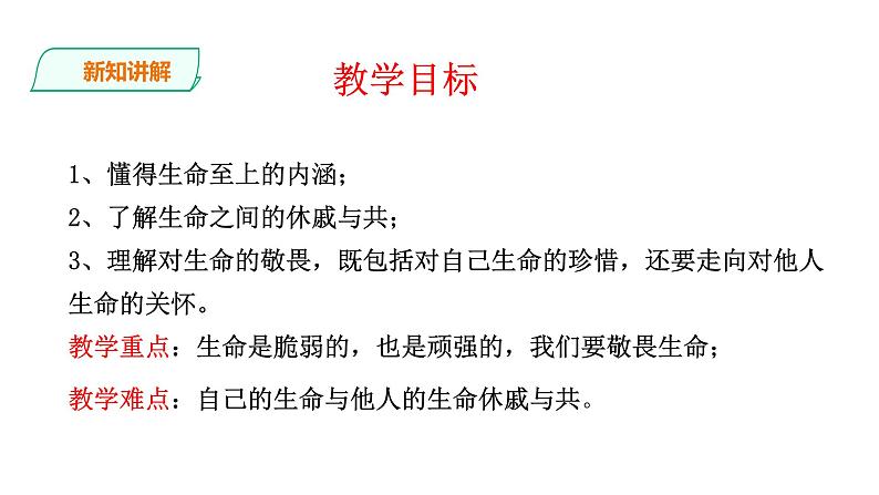 部编道德与法治七年级上册8.2《敬畏生命》课件04