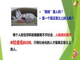 部编版道德与法治八年级上册 1.2在社会中成长 课件