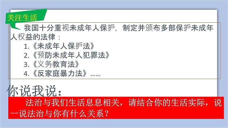 4.1 夯实法治基石 课件第8页