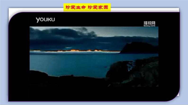 6.2共筑生命家园  课件( 40张PPT+4个视频)06