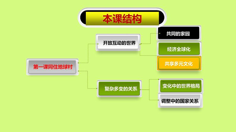 九年级下册第一课第一框《开放互动的世界》课件第5页