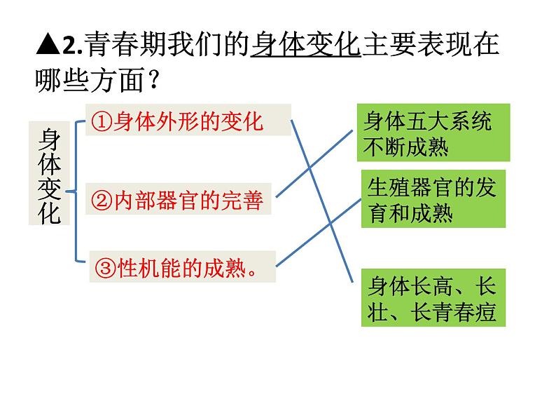 人教版道德与法治七年级下册 第一课 青春的邀约 复习课件(共37张PPT)04